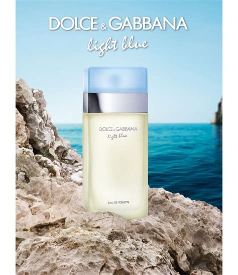 dolce gabbana light blue renner|dolce gabbana light blue sale.